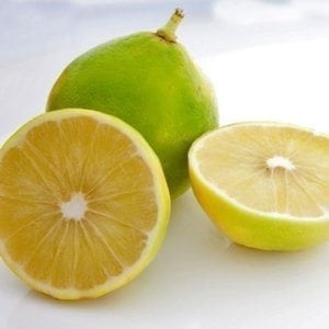 Bergamot