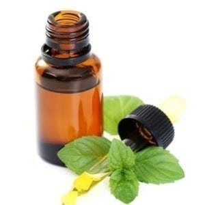 Peppermint