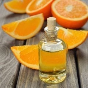 Orange Citrus